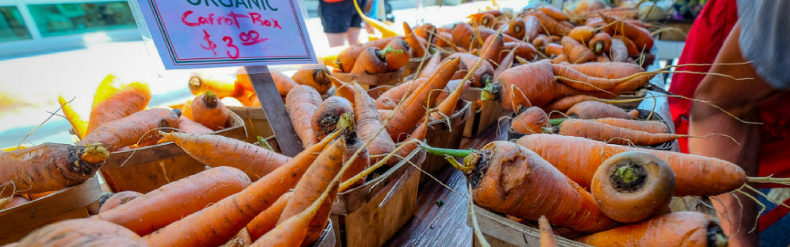 Sarasota Farmers Market